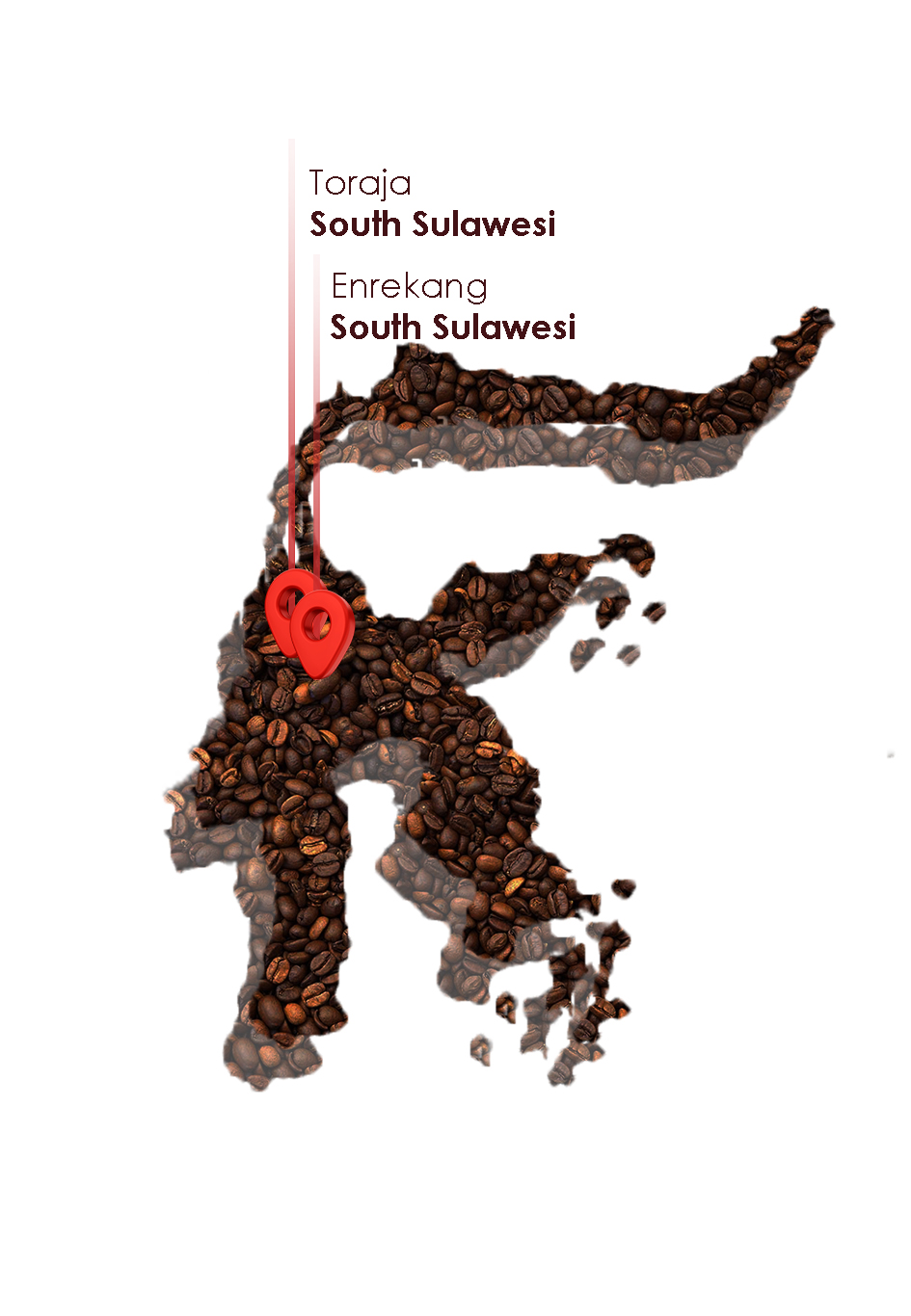 Sulawesi Sulawesi